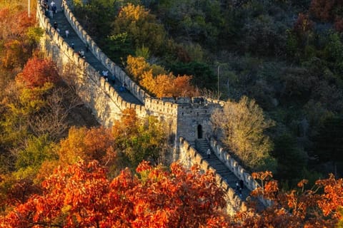 Beijing: Jinshanling Great Wall Ticket + Efficient Visit Guide