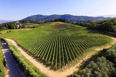 Exclusive Private Pisa & Lucca Experience from Florence