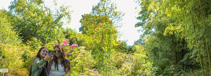 Depuis Paris : Excursion à Giverny avec audioguide ou guide en chair et en os