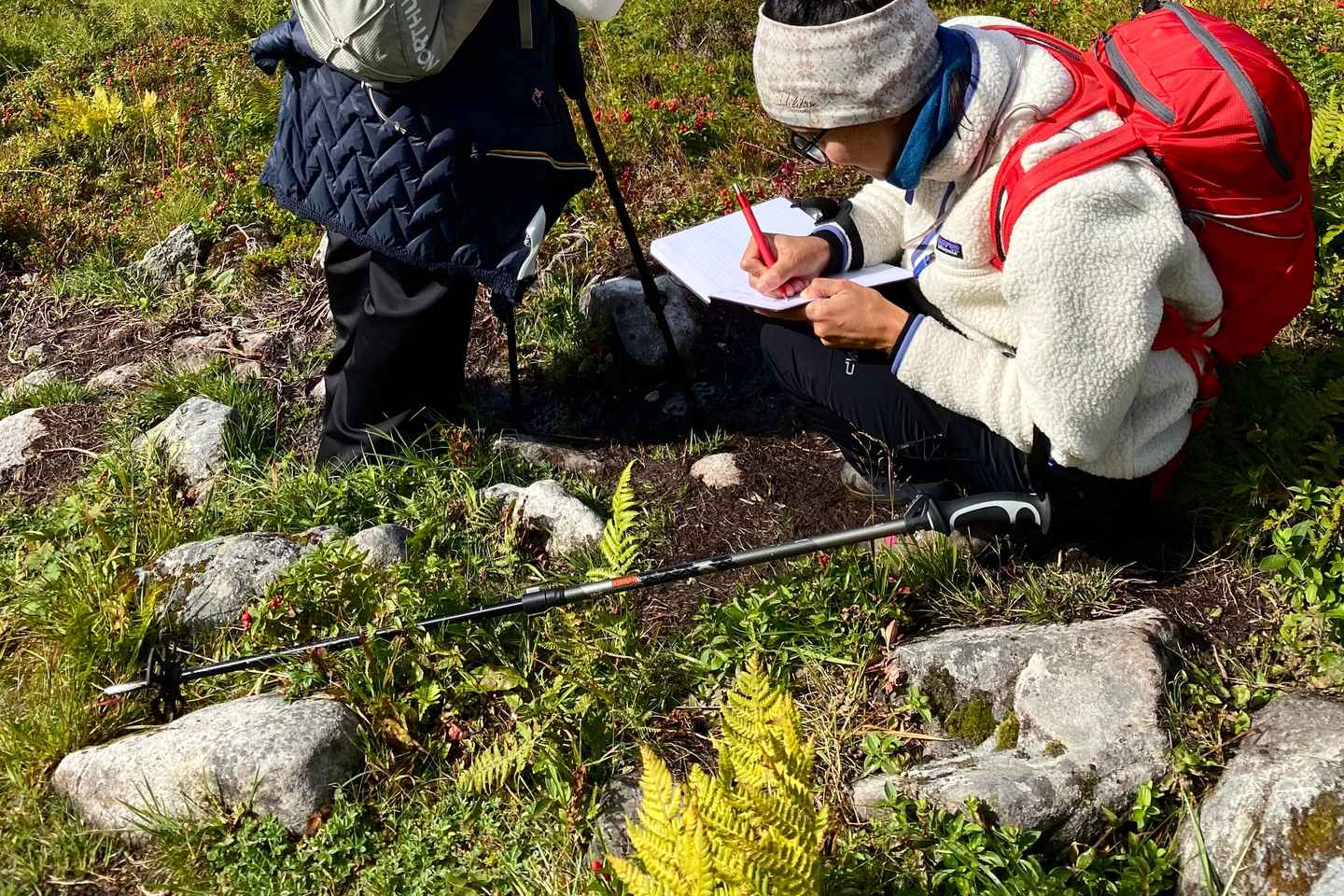 Lofoten Islands: Guided Hiking Into the Wilderness - Uphill