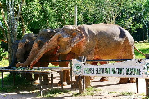 Phuket Elephant Nature Reserve - Half Day Elephant Adventure