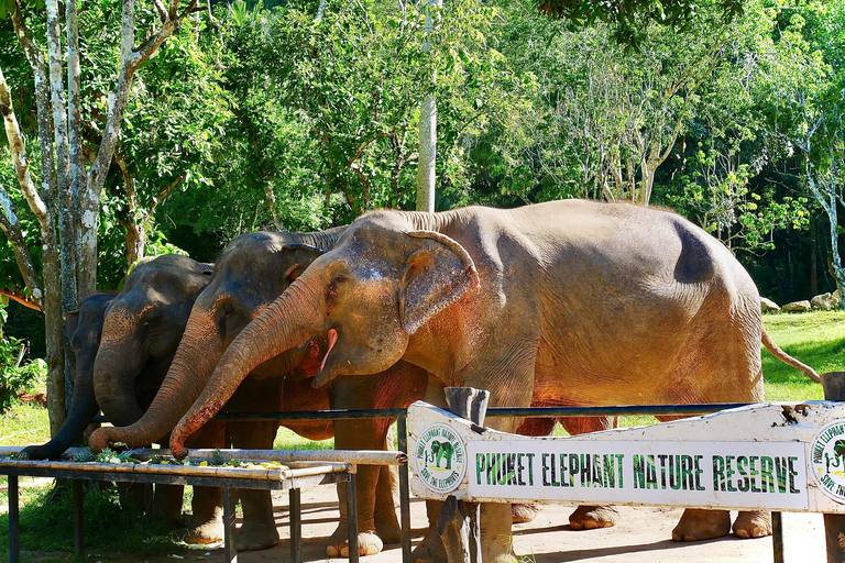 Phuket Elephant Nature Reserve - Half Day Elephant Adventure