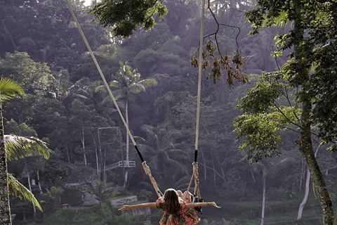 Ubud: Natura in primo piano, fauna selvatica, altalena e cascata