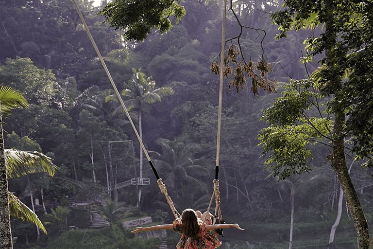Ubud: Natura in primo piano, fauna selvatica, altalena e cascata