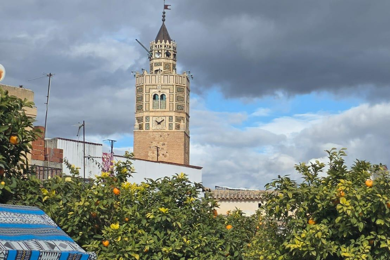 Cultural and culinary tour from Tunis