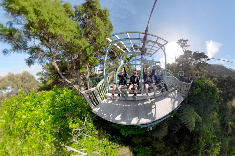 Nelson: Cable Bay Adventure Park Skywire Experience