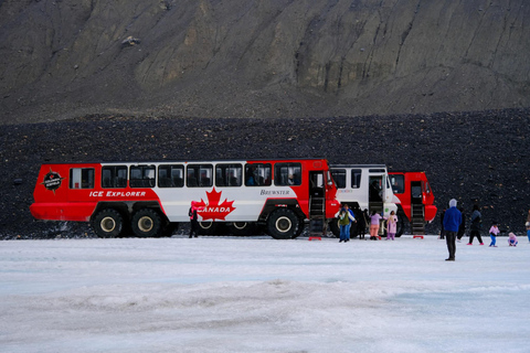 Von Calgary/Banff/Canmore: Rockies Tagestour mit Icefield