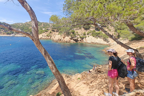 Van Marseille naar de Calanques Blueues met de trein, wandeling, lagunes en dorpjes