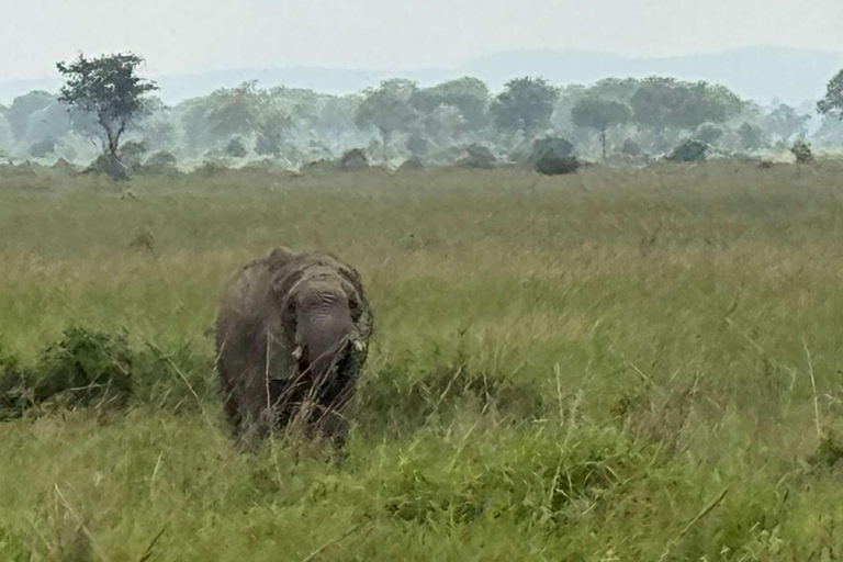 SAFARI ANIMALIER DE ZANZIBAR À MIKUMI 3 JOURS ET 2 NUITS