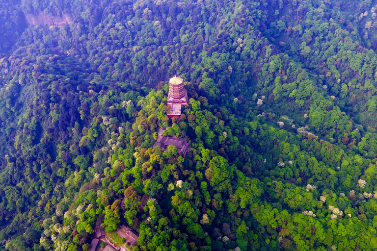 Dujiangyan: Irrigation System & Qingcheng Mountain Day Tour Dujiangyan+MT.Qingcheng Self-guided Day Tour