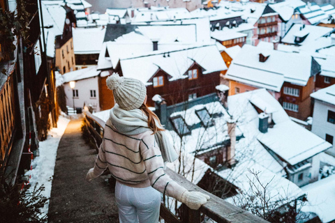 Desde Viena: Excursión de un día con guía a HallstattTour privado