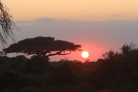 3 days Tsavo East & Tsavo West Safari from Diani/Mombasa