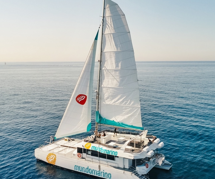 Malaga: catamaranzeiltocht met optie bij zonsondergang