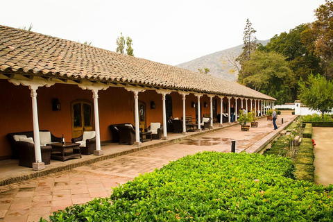 Santiago: Santa Rita Premium Winery Tour & 5 Wine Tasting