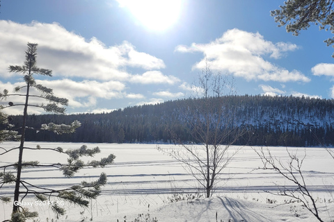 Rovaniemi: Ice Fishing, Snowmobile, and Net Fishing Tour