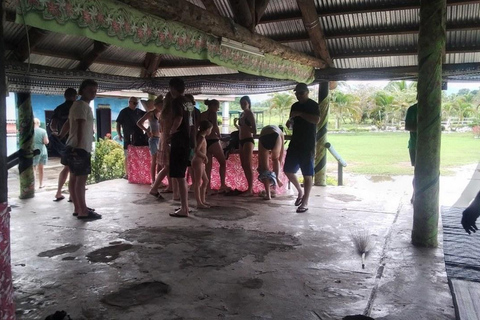 Ogród Śpiącego Olbrzyma z wycieczką do gorących źródeł Tifajek MudpoolHotele w Nadi / Port Denarau / Double Tree / Odbiór z Vuda