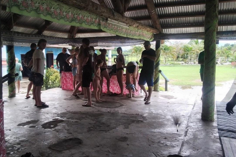 Ogród Śpiącego Olbrzyma z wycieczką do gorących źródeł Tifajek MudpoolHotele w Nadi / Port Denarau / Double Tree / Odbiór z Vuda