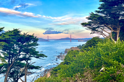 San Francisco: Wild Coast Tour