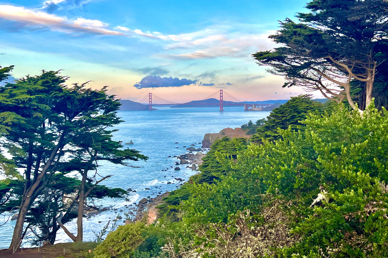 San Francisco: Wild Coast Tour