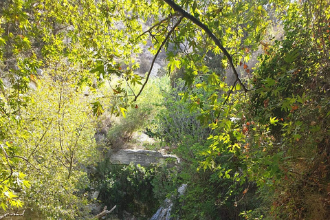 Paphos : Excursion en buggy à Akamas et aux chutes d&#039;Adonis5 heures de Buggy Tour Akamas incl et chutes d&#039;Adonis