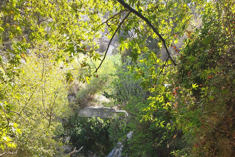 Paphos : Excursion en buggy à Akamas et aux chutes d&#039;Adonis5 heures de Buggy Tour Akamas incl et chutes d&#039;Adonis