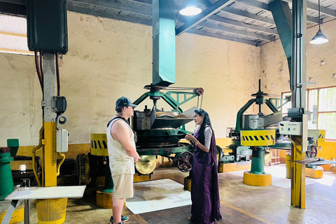 Ambuluwawa Tower Climb &amp; Tea Factory Tour from Kandy