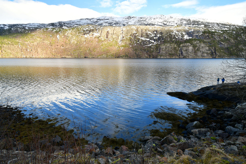 Abisko: Fjord Sightseeing and Photography Tour