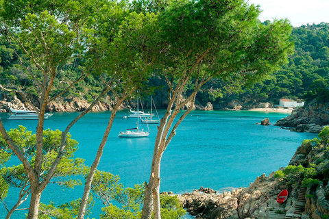 From Barcelona: to beaches Aiguablava & Tamariu, Costa Brava
