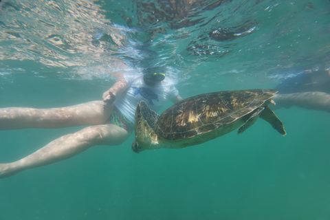 Mirissa Snorkeling Trip with Sea Turtles & Coral Reef