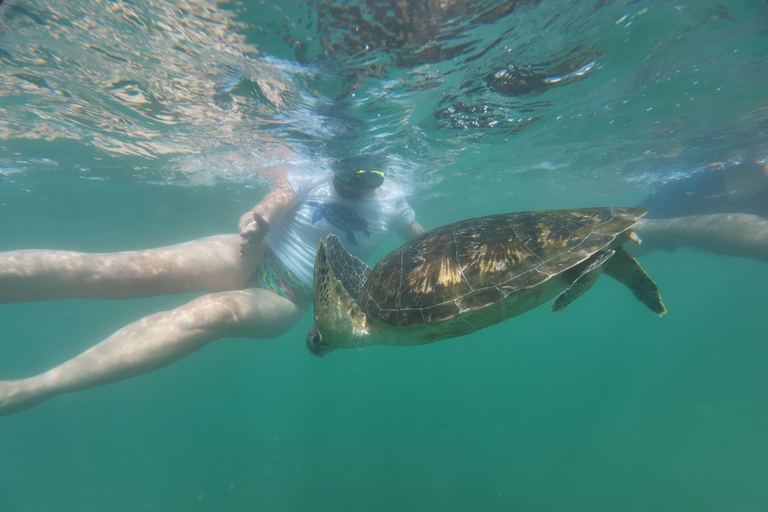 Mirissa Snorkeling Trip with Sea Turtles & Coral Reef