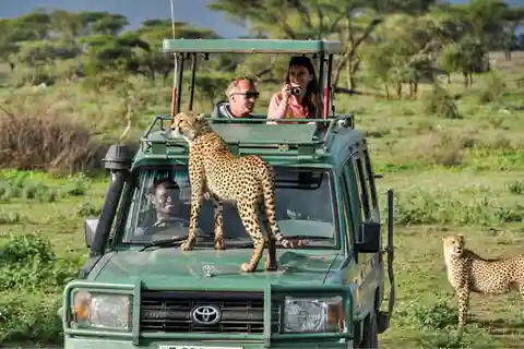 From Zanzibar: Mikumi Safai day trip with flight