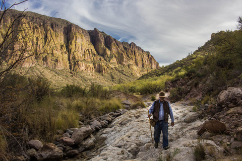 Tucson: Sonoran Desert Guided Hike with Naturalist Guide