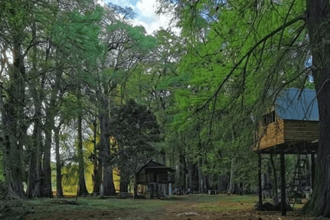 Palenque: Yaxchilan/Bonampak/Lacanja 2-Day Tour