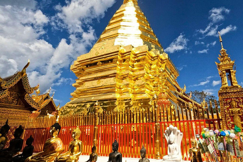 Visite du Doi Suthep et du temple Wat Pha Lat en soirée