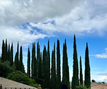 Vanuit Florence: Siena, San Gimignano en Chianti Privé ...