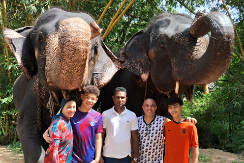 From Colombo: Pinnawala and Kandy Guided Day Tour by Car/Van