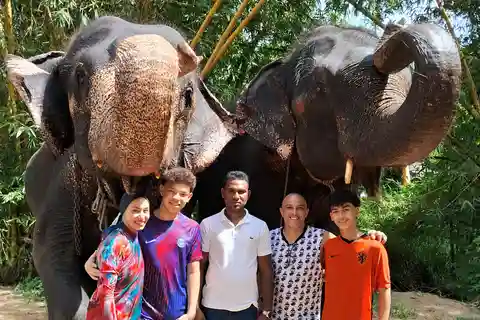 Depuis Colombo : Visite guidée de Pinnawala et Kandy en voiture/van