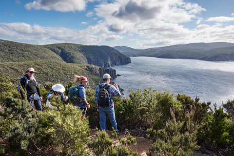 Au départ de Hobart : Visite à pied des trois caps - 4 joursSupplément pour personne seule