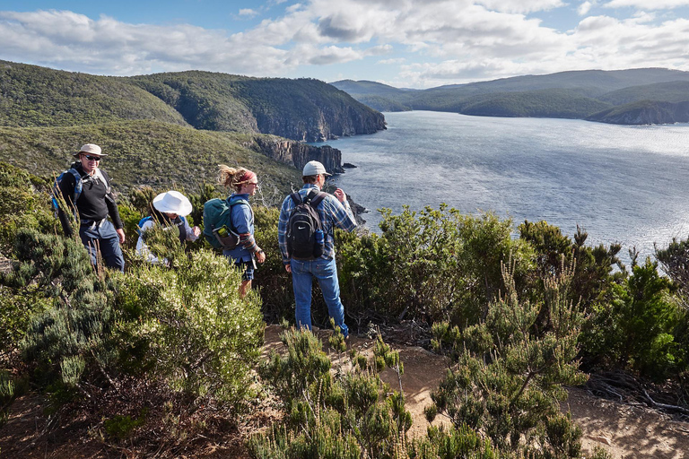 Da Hobart: Tour a piedi delle Tre Capes - 4 giorniSupplemento singola