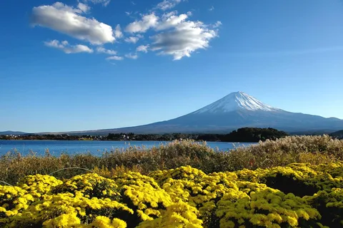 Guided Mt Fuji Private Tour GREEN NUMBER PLATES