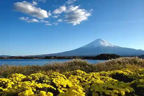Guided Mt Fuji Private Tour GREEN NUMBER PLATES
