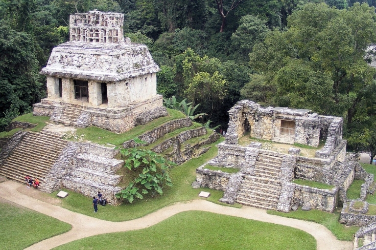 Visita guiada a pie a la zona arqueológica de PalenqueVisita privada
