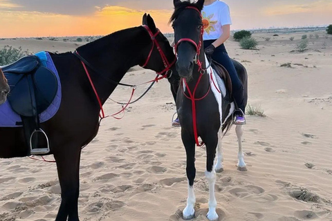 Doha : Private Horse Ride Experience With Pickup &amp; Drop Off