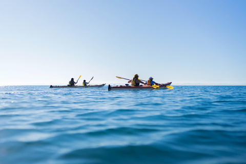 Manuel Antonio: Kayak di mare o SUP - Guida turistica della Costa Rica