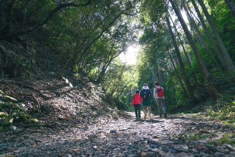 Kyoto: 3-Hour Fushimi Inari Shrine Hidden Hiking Tour