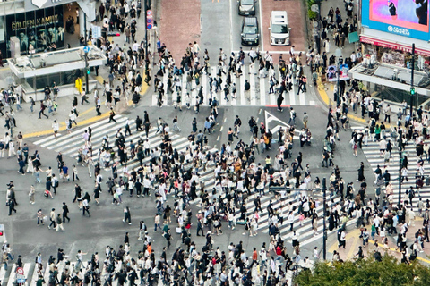 Tokyo: Private Tailored Tour with a Local Guide (2 hours) Tokyo: Private Tailored Tour with a Local Guide