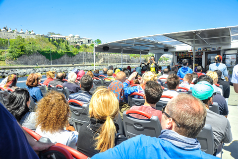 Istanbul: Bosphorus and Golden Horn Cruise with Audio Guide