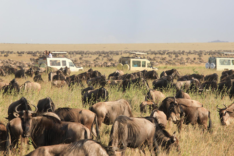 3-Days Masai Mara Joining Safari From Nairobi 3-Days 2 Nights Masai Mara Safari From Nairobi