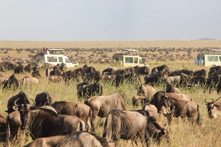 3-Days Masai Mara Joining Safari From Nairobi 3-Days 2 Nights Masai Mara Safari From Nairobi