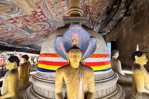 Sigiriya i Dambulla Prywatna całodniowa wycieczka z przewodnikiem